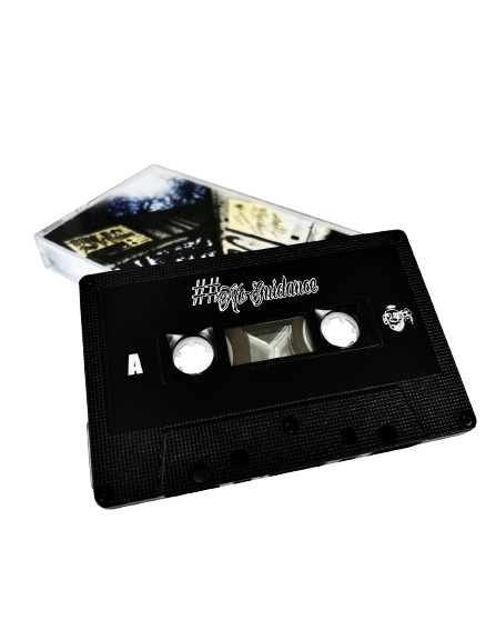 Tomibillsbigger - No Guidance Cassette